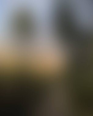 Abstract blur background of colors mixed