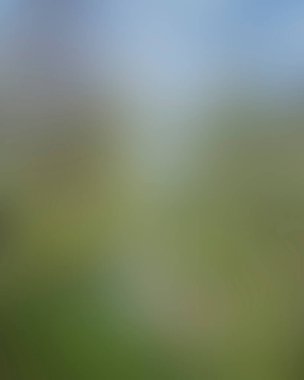 Abstract blur background of colors mixed