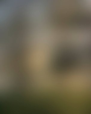 Abstract blur background of colors mixed