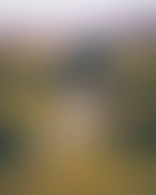 Abstract blur background of colors mixed