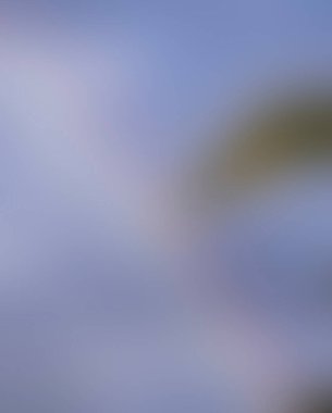 Abstract blur background of colors mixed