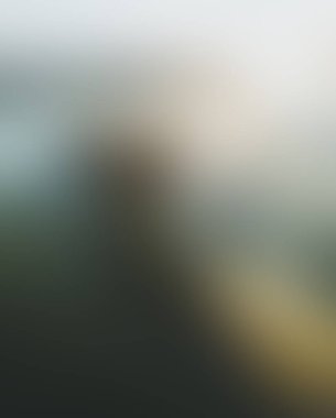 Abstract blur background of colors mixed