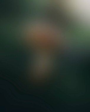 Abstract blur background of colors mixed