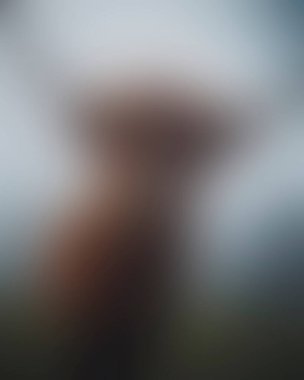 Abstract blur background of colors mixed