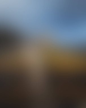 Abstract blur background of colors mixed