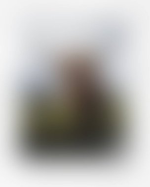 Abstract blur background of colors mixed