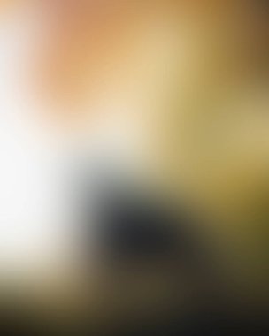 Abstract blur background of colors mixed