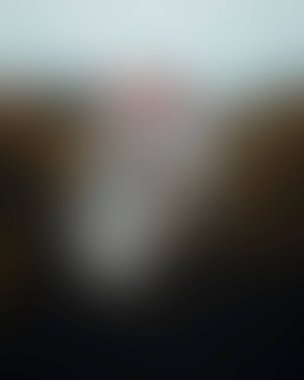 Abstract blur background of colors mixed