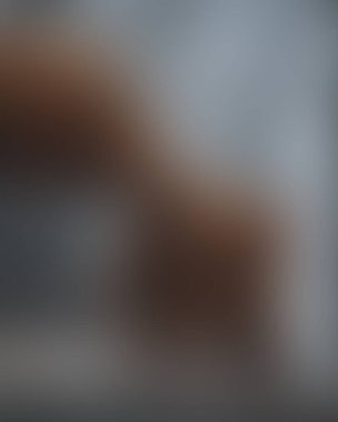 Abstract blur background of colors mixed