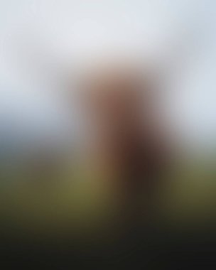 Abstract blur background of colors mixed