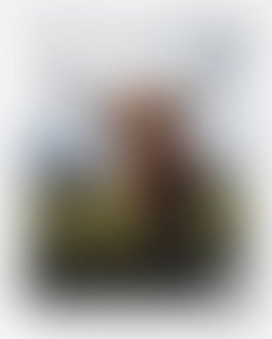 Abstract blur background of colors mixed