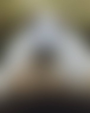 Abstract blur background of colors mixed