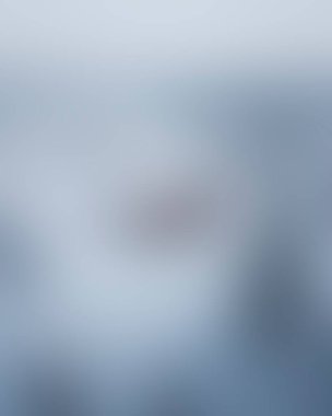 Abstract blur background of colors mixed