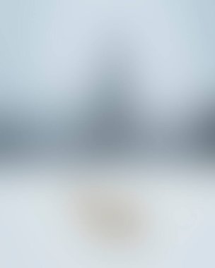 Abstract blur background of colors mixed