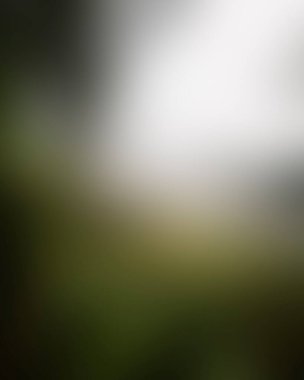 Abstract blur background of colors mixed