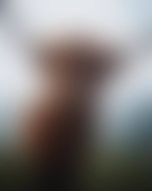 Abstract blur background of colors mixed