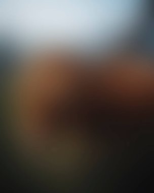 Abstract blur background of colors mixed