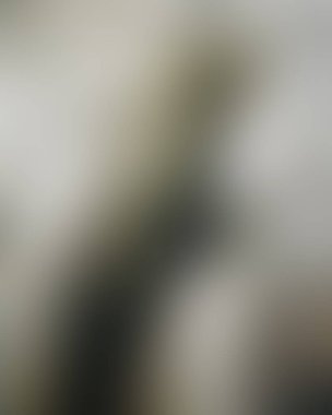 Abstract blur background of colors mixed