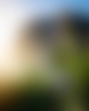 Abstract blur background of colors mixed