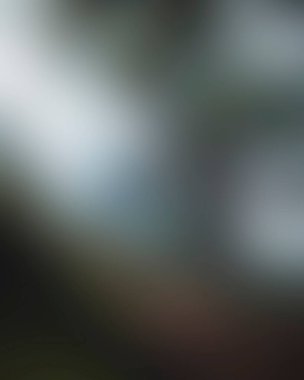 Abstract blur background of colors mixed