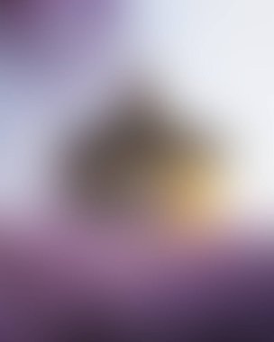 Abstract blur background of colors mixed