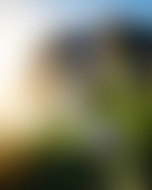 Abstract blur background of colors mixed