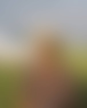 Abstract blur background of colors mixed