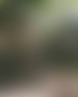 Abstract blur background of colors mixed