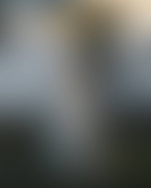 Abstract blur background of colors mixed