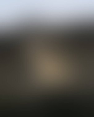 Abstract blur background of colors mixed