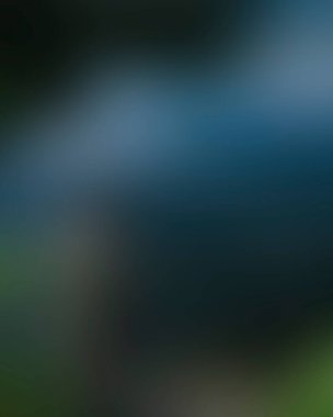 Abstract blur background of colors mixed