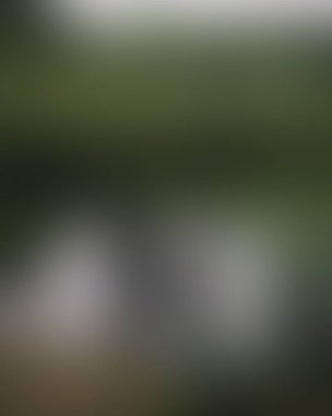 Abstract blur background of colors mixed