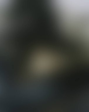 Abstract blur background of colors mixed