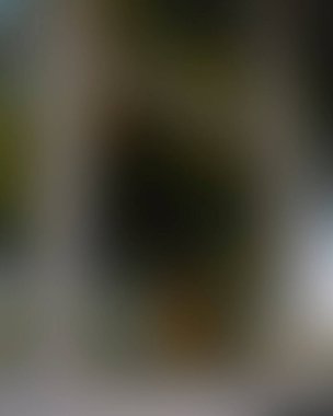 Abstract blur background of colors mixed