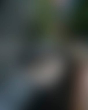 Abstract blur background of colors mixed