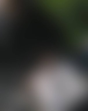 Abstract blur background of colors mixed