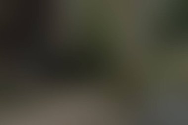 Abstract blur background of colors mixed