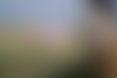 Abstract blur background of colors mixed