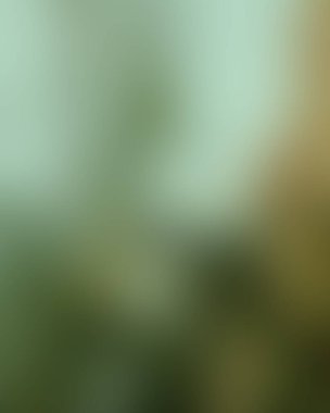 Abstract blur background of colors mixed