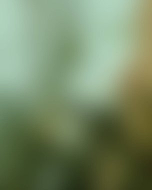 Abstract blur background of colors mixed