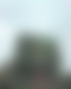 Abstract blur background of colors mixed