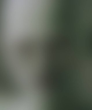 Renklerin soyut bulanık arkaplanı