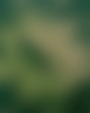 Renklerin soyut bulanık arkaplanı