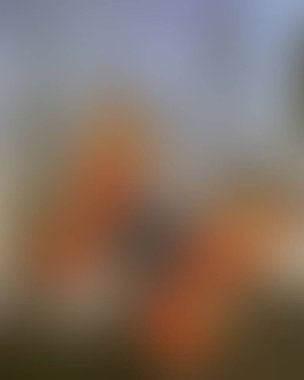 Renklerin soyut bulanık arkaplanı