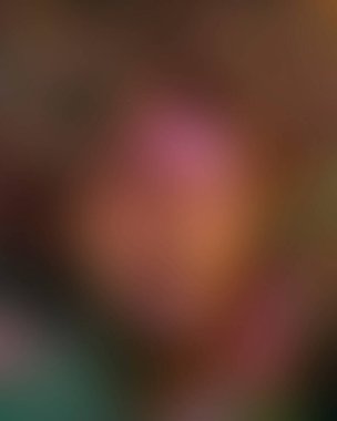 Renklerin soyut bulanık arkaplanı