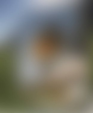 Renklerin soyut bulanık arkaplanı