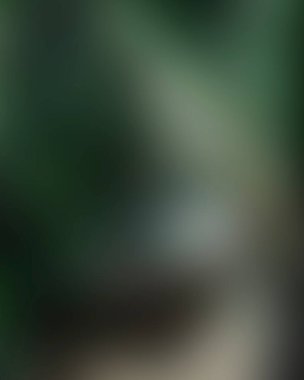 Renklerin soyut bulanık arkaplanı