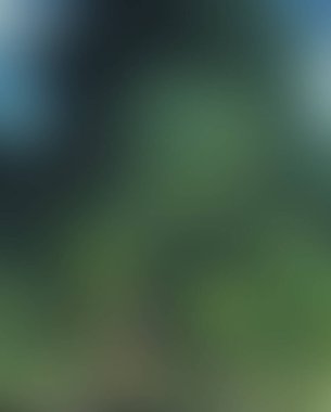 Renklerin soyut bulanık arkaplanı