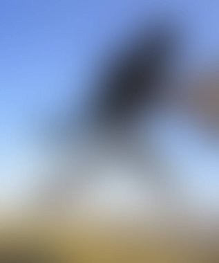 Renklerin soyut bulanık arkaplanı