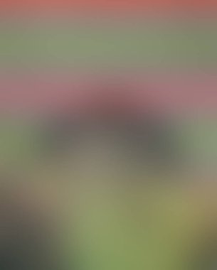 Renklerin soyut bulanık arkaplanı